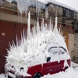 Meet your Posher, Philip